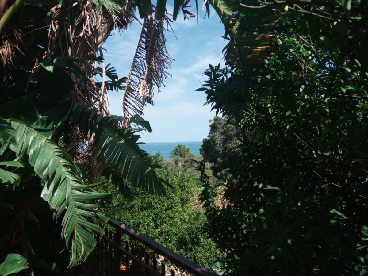 Stanza In Villa Con Giardino Vista Mare 切法卢 外观 照片